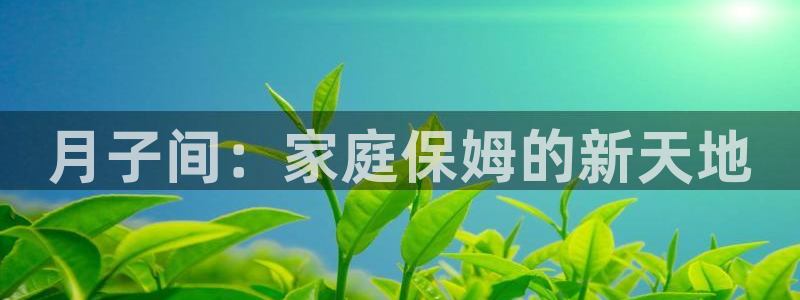 杏悦娱乐注册平台