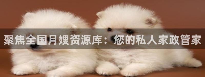 杏悦官网