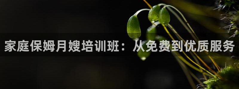 杏悦平台代理怎么样赚钱