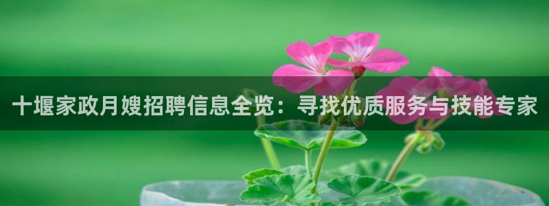 杏悦平台代理怎么赚钱快