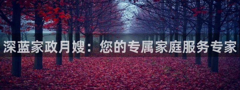 杏悦平台注册地址