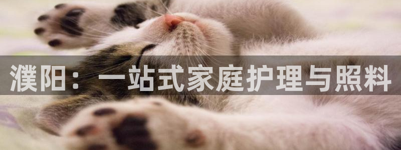 杏悦官网注册信息是什么