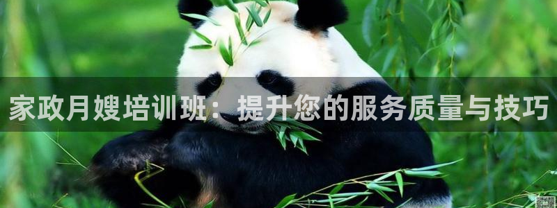 杏悦招商地址