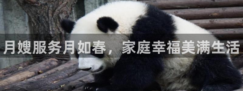 杏悦平台登录网址是什么