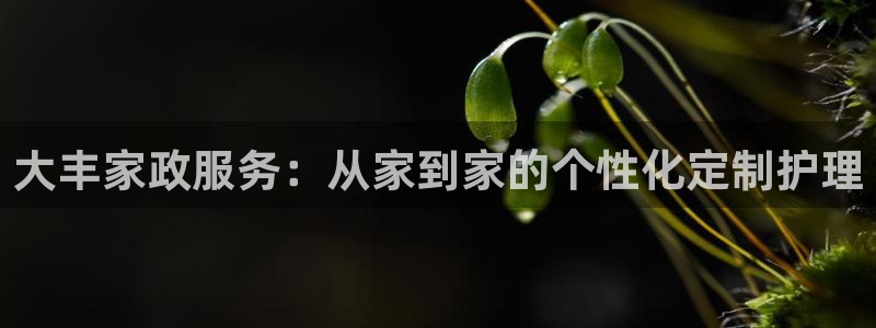 杏悦官网注册信息是什么样的