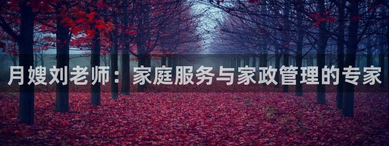 杏悦平台注册地址在哪里