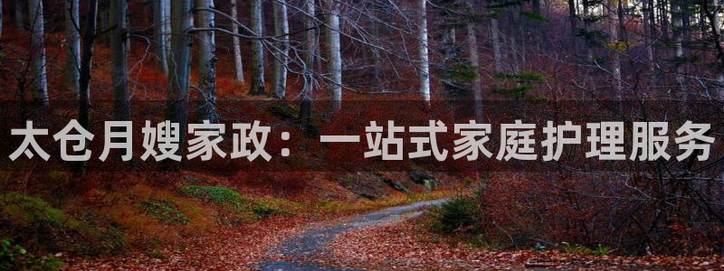 杏悦官网登录入口网址是多少