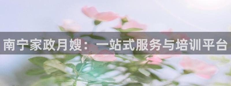 杏悦平台代理注册流程