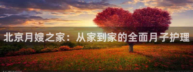 杏悦平台官网注册