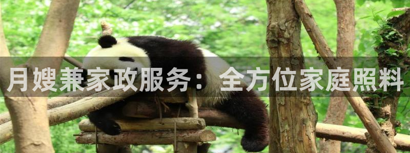 杏悦平台注册网址