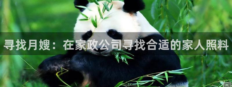 杏悦平台登录网址是什么