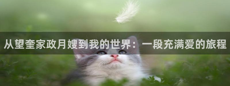 杏悦平台注册地址