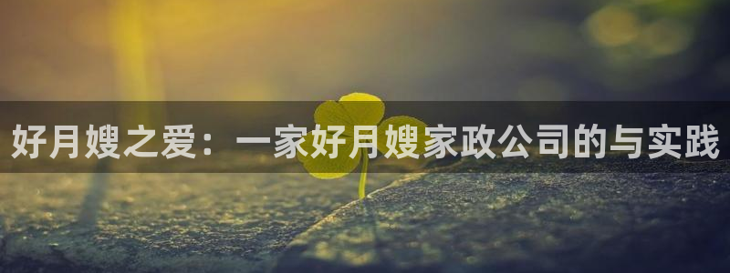 杏悦平台代理注册要钱吗