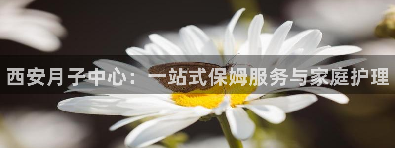 杏悦平台注册网址