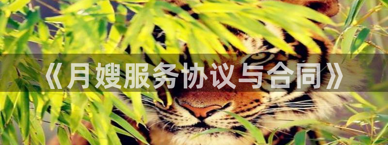 杏悦娱乐平台靠谱吗