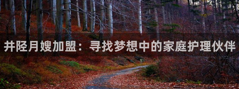 杏悦平台代理怎么做