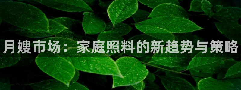 杏悦官网注册信息
