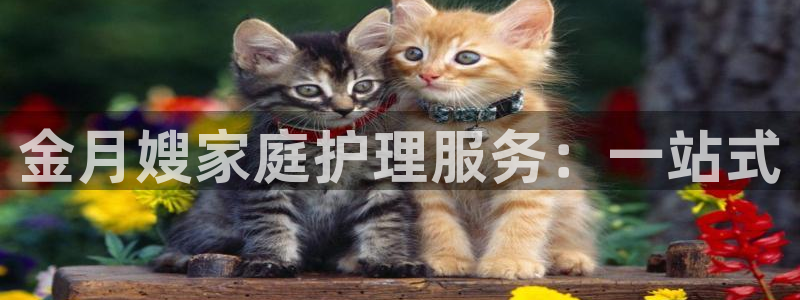 杏悦登录网址是什么