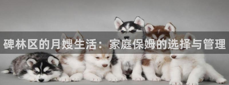 杏悦平台可靠吗可信吗