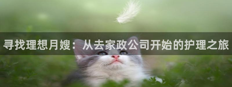 杏悦官方平台是正品吗知乎