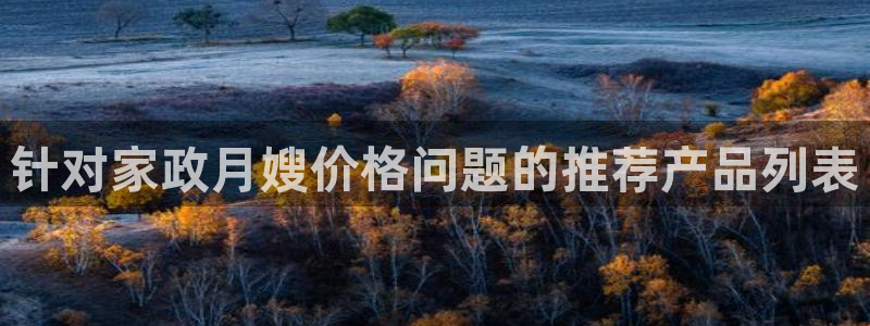 杏悦平台代理多少钱