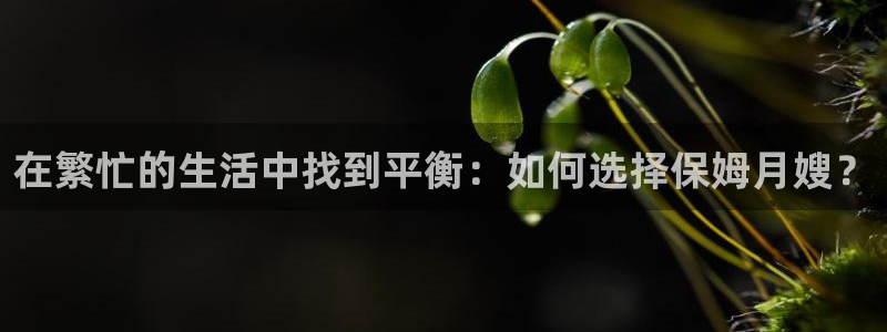 杏悦平台代理注册要钱吗