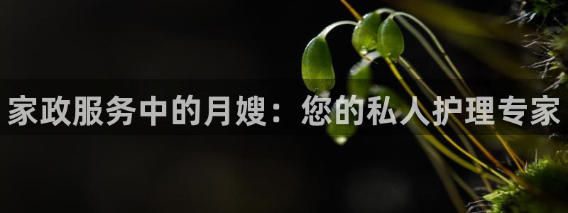 杏悦官网注册信息在哪里找