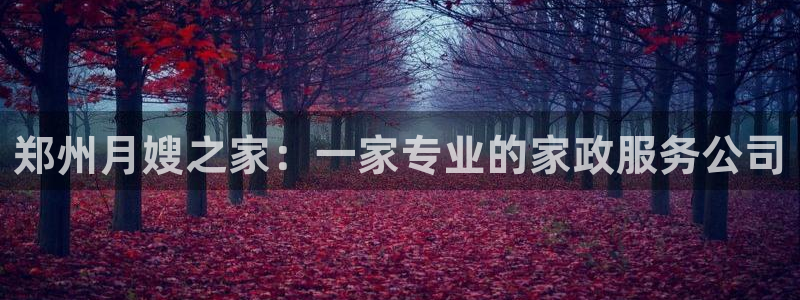 杏悦官网登录入口网址是什么