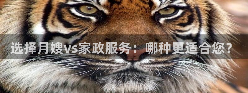 杏悦平台开户地址在哪里