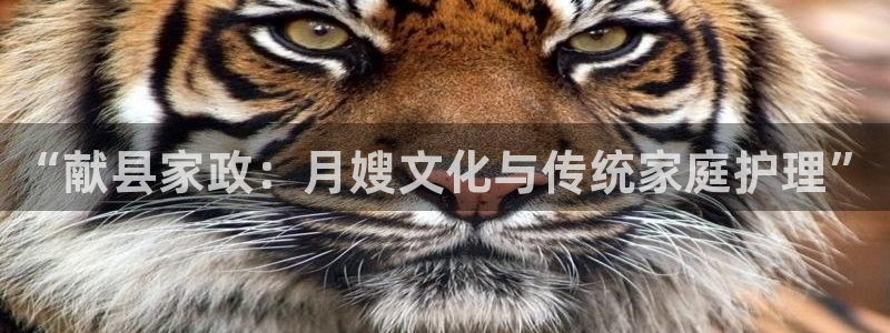 杏悦平台可靠吗可信吗安全吗