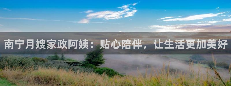 杏悦平台登录网址查询