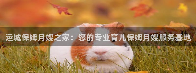 杏悦官方平台官网入口