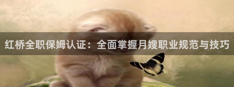 杏悦平台开户地址