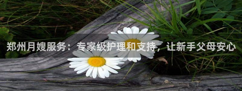 杏悦官方平台官网入口