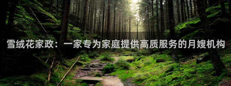 杏悦平台登录地址