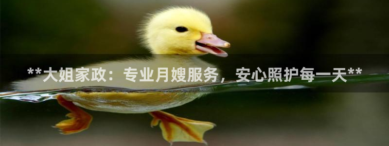 杏悦平台代理怎么样可靠吗