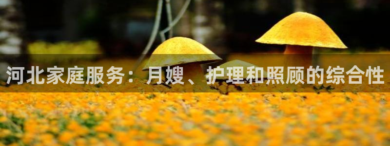 杏悦平台登录入口官网