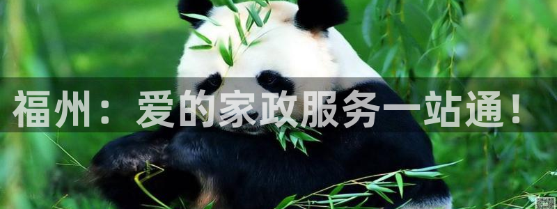 杏悦娱乐怎么玩